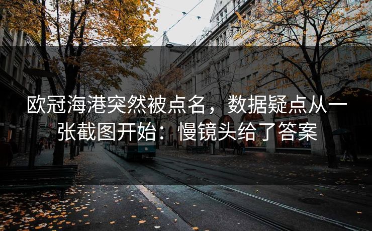 欧冠海港突然被点名，数据疑点从一张截图开始：慢镜头给了答案