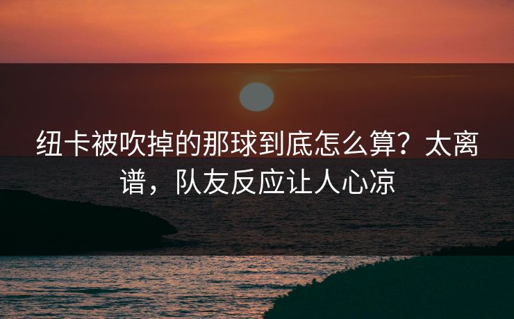 纽卡被吹掉的那球到底怎么算？太离谱，队友反应让人心凉